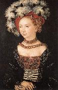 CRANACH, Lucas the Elder Portrait of a Young Woman dfg Germany oil painting artist